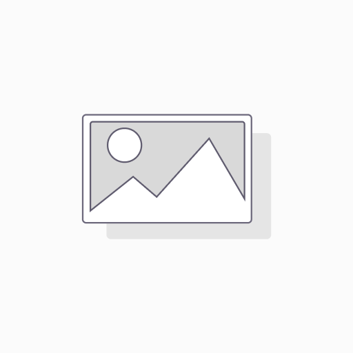 215/50R17 91W MICHELIN PRIMACY 5